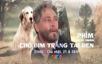 Phim cuối tuần "Chó Bim trắng tai đen" (21h40, 21/6 & 28/6, VTV1)