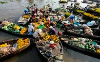 Sôi động chợ nổi Cái Răng dịp cận Tết