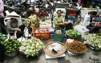 Chợ cóc: Dẹp chỗ này, phát sinh chỗ khác