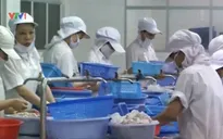 DN cần chủ động trước các vụ kiện chống bán phá giá