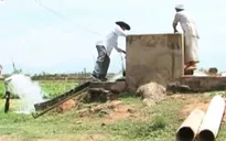Những sáng kiến chống hạn độc đáo của nông dân Ninh Thuận