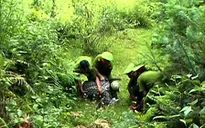 Khốc liệt cuộc chiến chống tội phạm ma túy