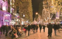 Kinh doanh tại Paris có dấu hiệu phục hồi sau khủng bố