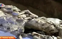 TP.HCM: Tái định cư tại chỗ để cải tạo, xây mới chung cư cũ