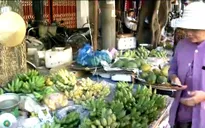 Phú Yên: Nắng hạn, sản lượng chuối giảm sút