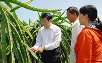 Bình Thuận cần tạo đột phá bằng 3 mục tiêu quan trọng