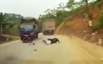 Vượt ẩu, xe máy kẹp giữa 2 xe tải