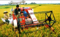 Tái cơ cấu nông nghiệp Việt Nam: Nhiều khó khăn khi triển khai