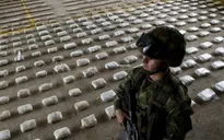 Bolivia thu giữ hơn 300kg cocaine