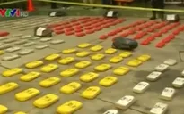 Bolivia: Bắt giữ phi công vận chuyển 362kg cocaine
