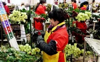 Columbia gấp rút chuẩn bị hoa cho ngày Valentine