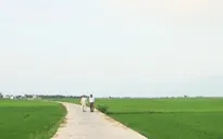 Chính quyền xã “phù phép” chiều dài đường nông thôn mới để trục lợi