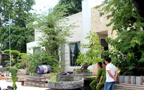 Phó Thủ tướng Nguyễn Xuân Phúc khen thưởng lực lượng phá án vụ thảm sát tại Bình Phước