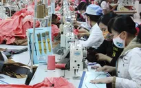 TP.HCM: 12/21 DNNN chưa thực hiện cổ phần hóa