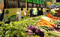 Xăng dầu kéo CPI Hà Nội tiếp tục giảm