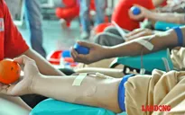 Hành trình đỏ 2015: Kết nối dòng máu Việt từ đất mũi Cà Mau