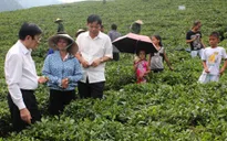Chủ tịch nước Trương Tấn Sang thăm và làm việc tại Thái Nguyên