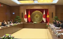Chủ tịch Thượng viện Nhật Bản thăm chính thức Việt Nam