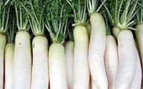 Tác dụng không ngờ của củ cải trắng