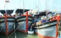 Phú Yên: Cửa biển bị bồi lấp, hàng trăm tàu cá mắc kẹt