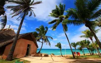 Ngành du lịch Cuba trước yêu cầu cải cách