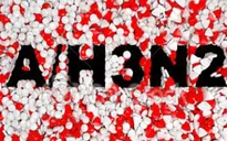Dịch cúm H3N2 đe dọa Hong Kong (Trung Quốc)