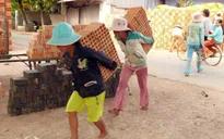 Nhức nhối nạn cưỡng bức lao động trẻ em miền núi