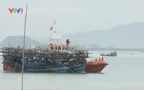 Cứu 31 thuyền viên bị nạn trên vùng biển Hoàng Sa