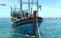 Hải quân Vùng 3 cứu thành công tàu cá bị nạn