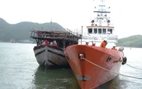 Bình Định: Cứu thành công 10 ngư dân gặp nạn trên biển
