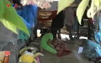 Xúc động cô bé  11 tuổi đi bán sen để nuôi cha bệnh tật