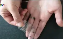 Da nhân tạo cho cảm giác như thật