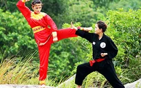 Võ cổ truyền Việt Nam vươn tầm thế giới