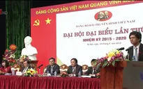 Đại hội Đảng bộ Đài Truyền hình Việt Nam, Ban Đối ngoại Trung ương Đảng