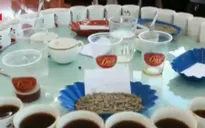 Nữ doanh nhân gốc Việt khởi nghiệp từ ngô nướng