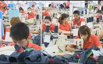 Nhiều doanh nghiệp gặp vướng mắc trong việc thực thi pháp luật