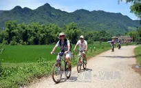 Việt Nam đón gần 8 triệu lượt khách quốc tế năm 2015