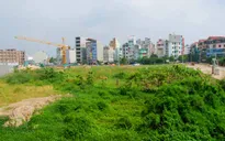 Đăk Lăk: Rà soát thực trạng sử dụng đất của 29 doanh nghiệp Nhà nước