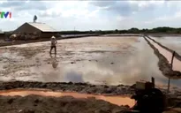 Bà Rịa - Vũng Tàu: Hàng trăm ha đất bị nhiễm mặn