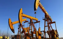Giá dầu thế giới đi lên sau báo cáo của Bộ Năng lượng Mỹ