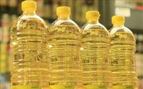 Cảnh báo dầu thực vật giải phóng chất độc gây ung thư khi chiên rán