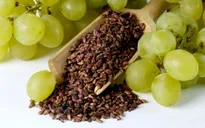 Hạt nho giúp giảm cholesterol trong máu