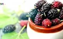 Dâu tằm - Loại quả tốt cho sức khỏe