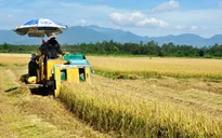 Thanh toán tiền hỗ trợ DN đầu tư vào nông nghiệp