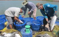 Giao thông hỗ trợ phát triển Đồng bằng sông Cửu Long