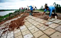 Bộ NN & PTNN: Tăng cường đảm bảo an toàn đê điều mùa lũ