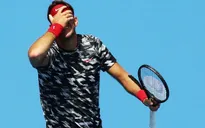 Sydney International: Del Potro thắng trận mở màn 2015