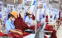 Xuất xứ nguyên liệu quyết định cơ hội hưởng thuế suất