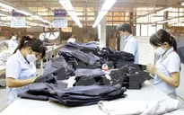 Việt Nam sẽ trở thành cường quốc về dệt may