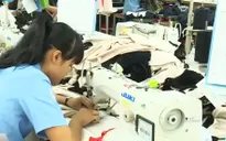 TP.HCM cần khoảng 27.000 lao động trong tháng 11